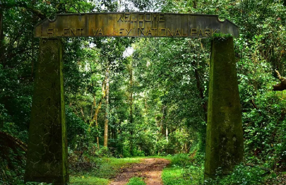 Silent Valley, Kerala: Un santuario de silencio y naturaleza