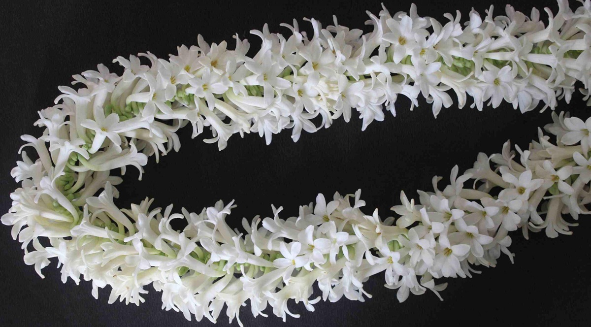 ¿Se pueden usar las mismas flores para varios dioses?