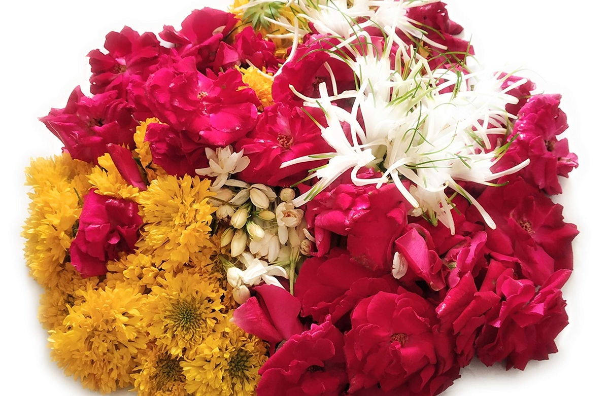 Flores que NO deben ofrecerse