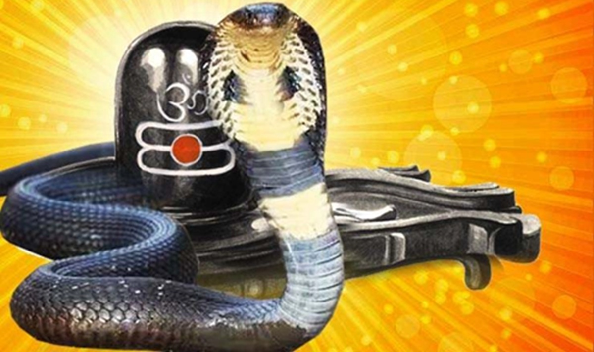 ¿Cómo se celebra Nag Panchami? Rituales y prácticas