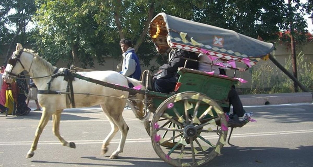 Paseo en Tonga por Agra