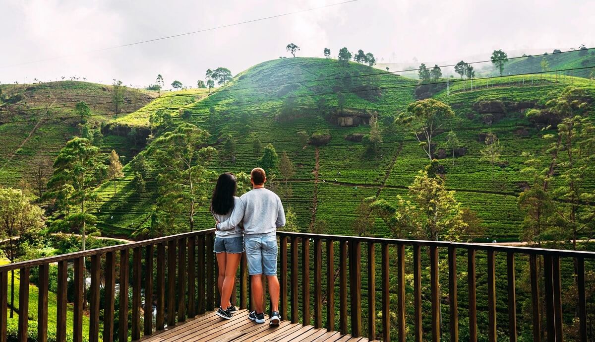 Wayanad: montañas, cascadas y cuevas prehistóricas