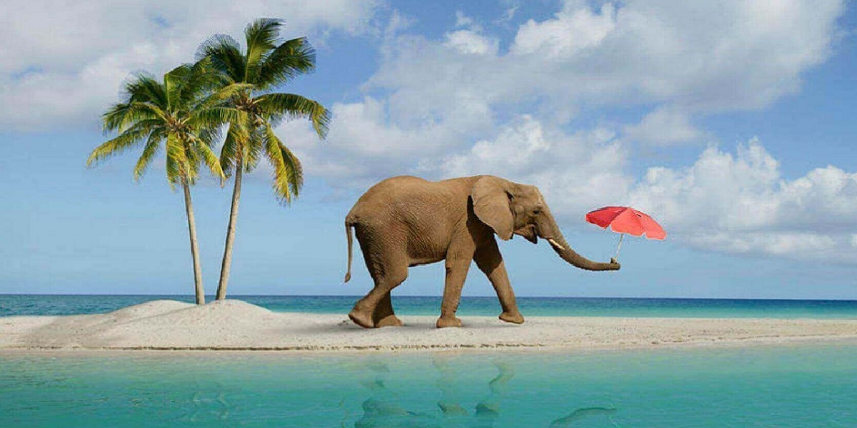 Recomendaciones especiales para hispanohablantes