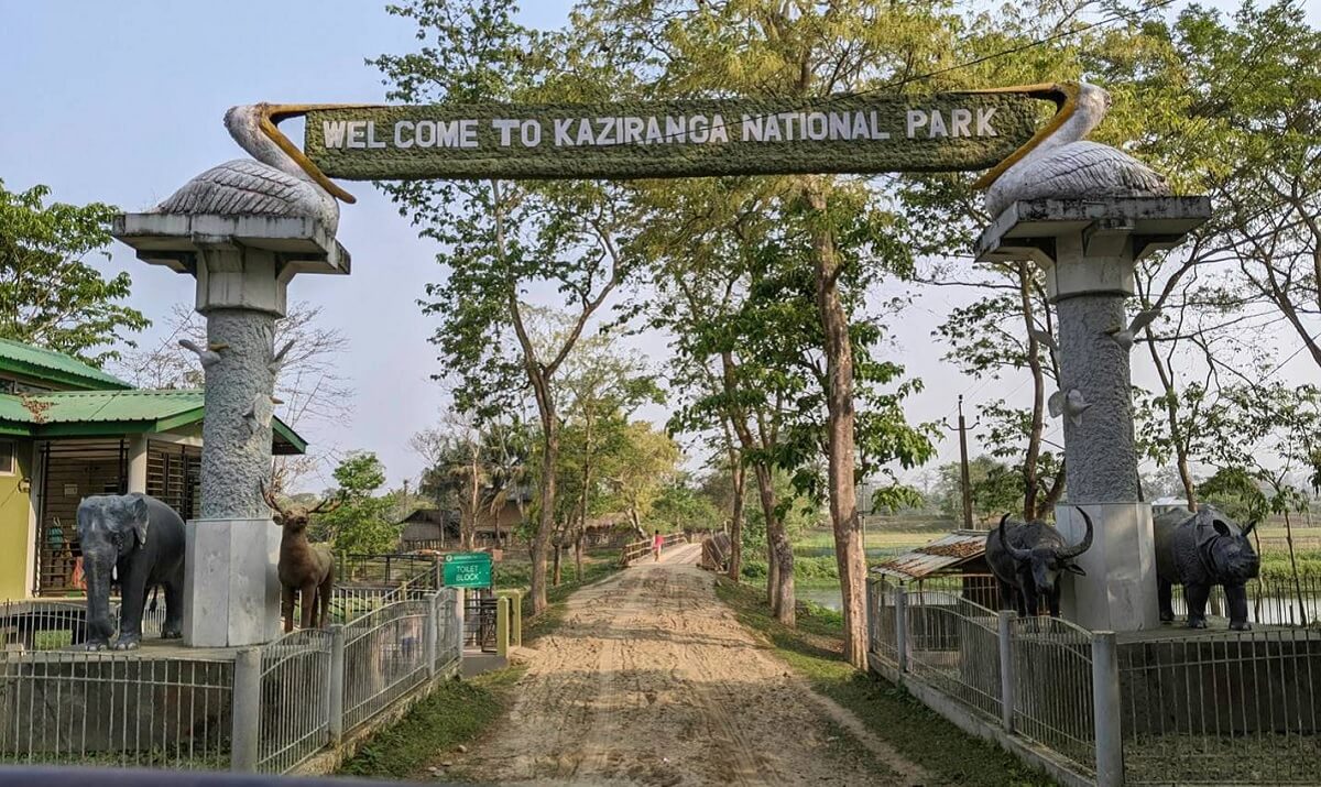 ¿Dónde está el Parque Nacional Kaziranga y por qué es famoso?