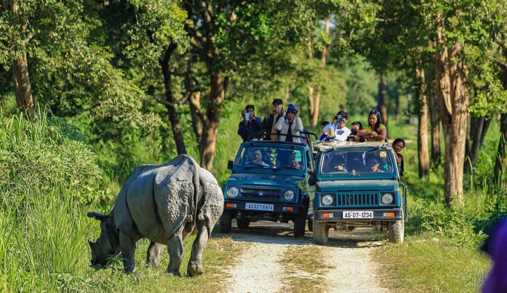 Qué ver en el Parque Nacional Kaziranga – Guía completa