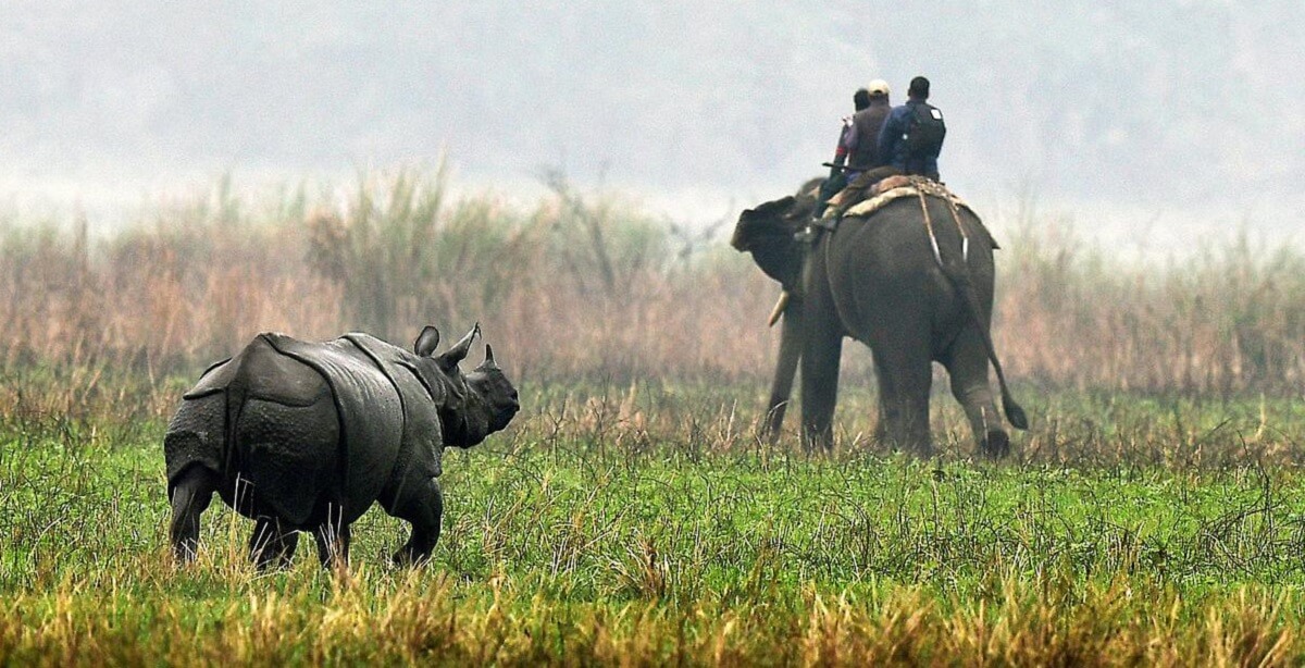 ¿Cómo practicar turismo responsable en Kaziranga?