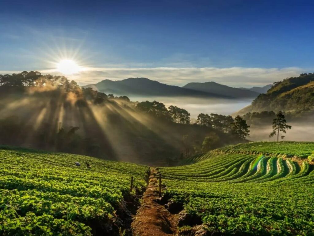Qué ver en Bangalore: jardines, templos, mercados y cultura en el sur de India