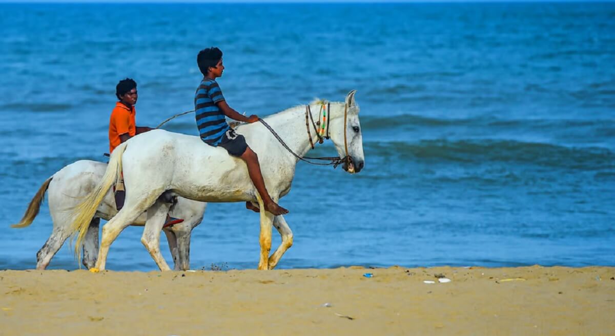 Recomendaciones especiales para hispanohablantes