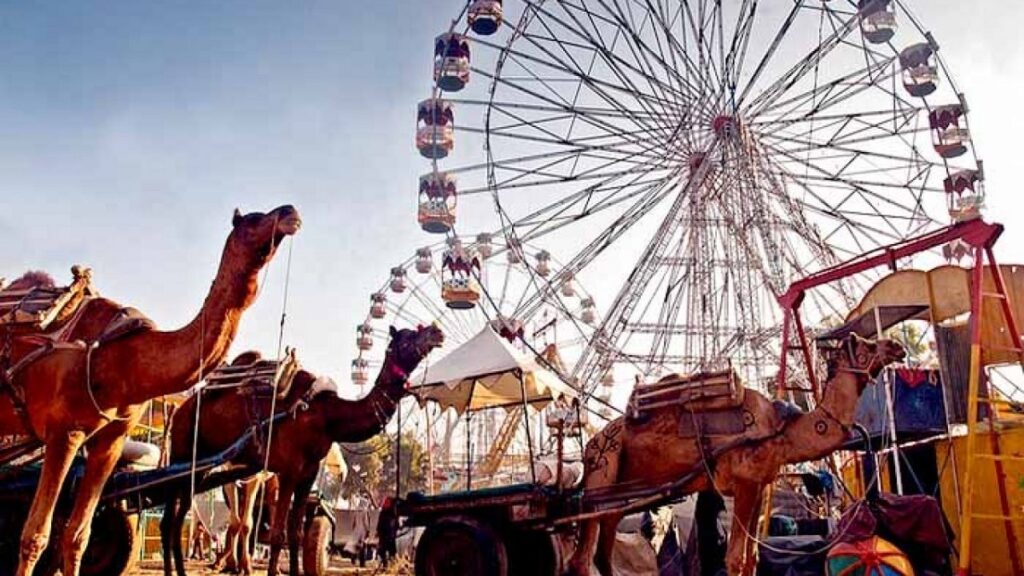 Qué ver en Pushkar durante el Camel Fair de noviembre 2025