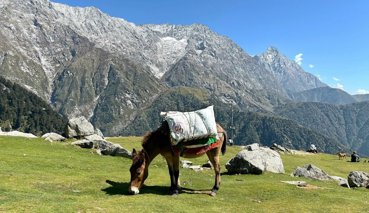 Triund Trek – El sendero más popular