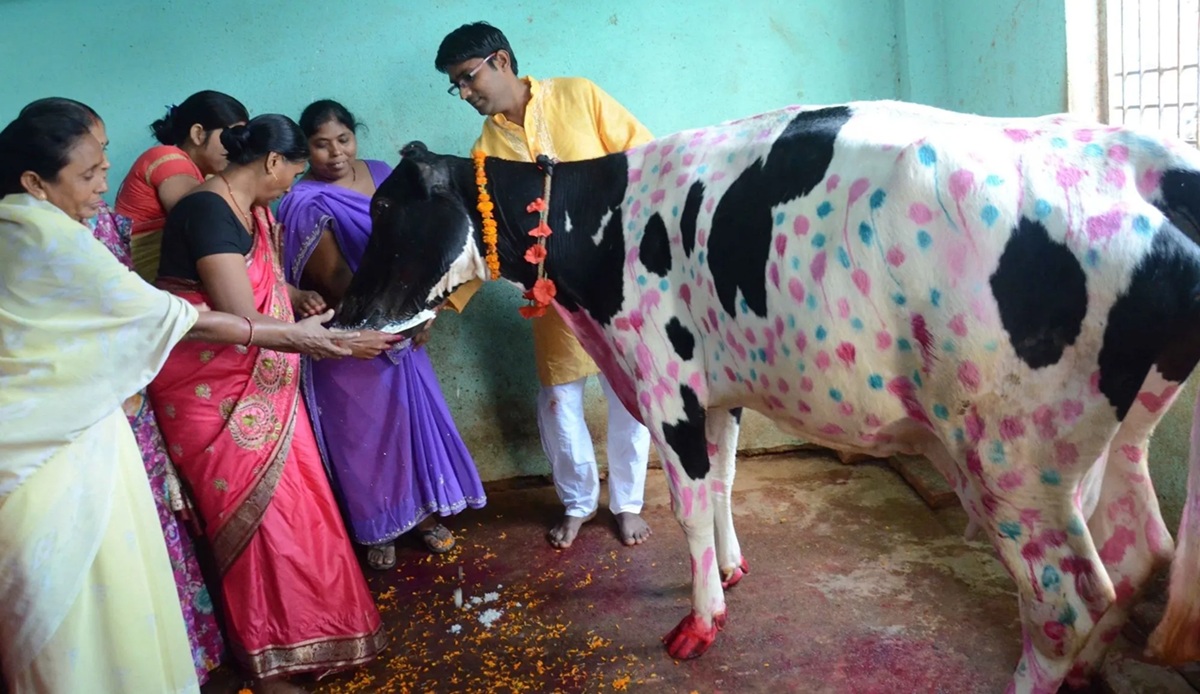 Consejos prácticos para viajeros