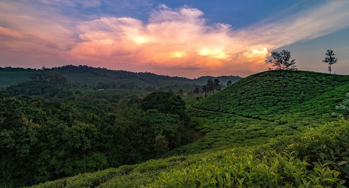 Consejos prácticos para visitar Bangalore