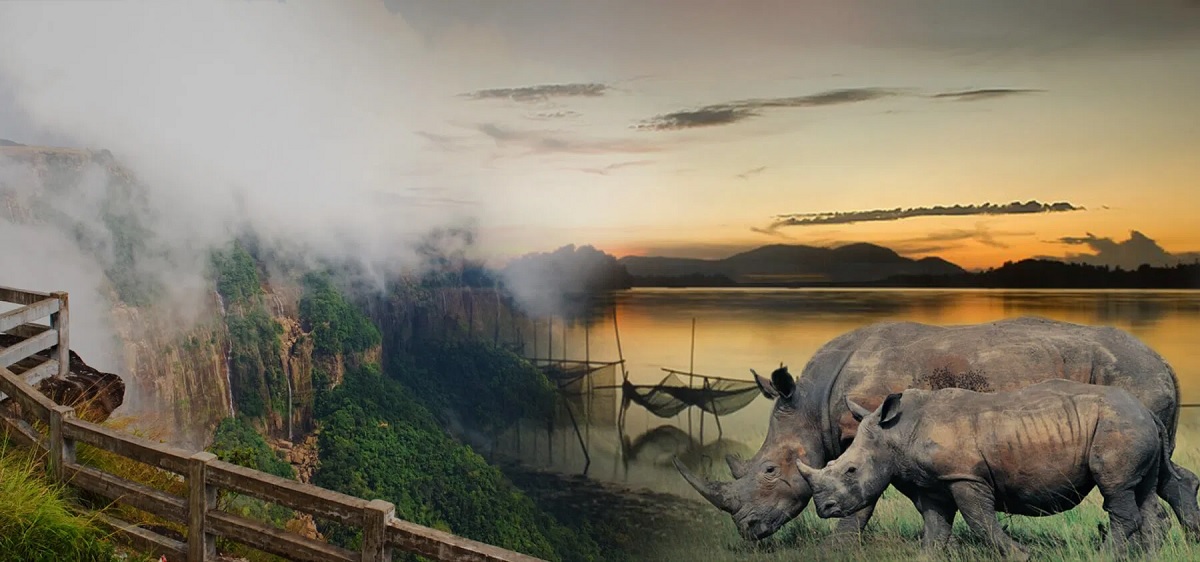 ¿Qué comer en Kaziranga y Assam?