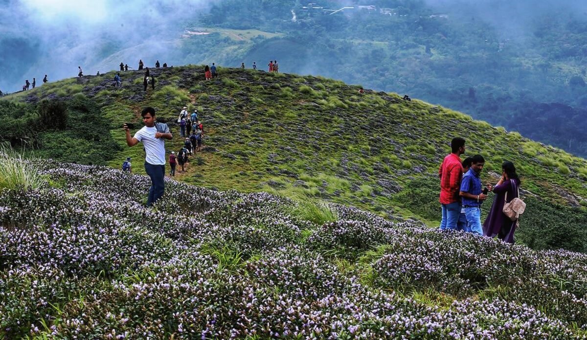 ¿Qué actividades de aventura y trekking hacer en Munnar?
