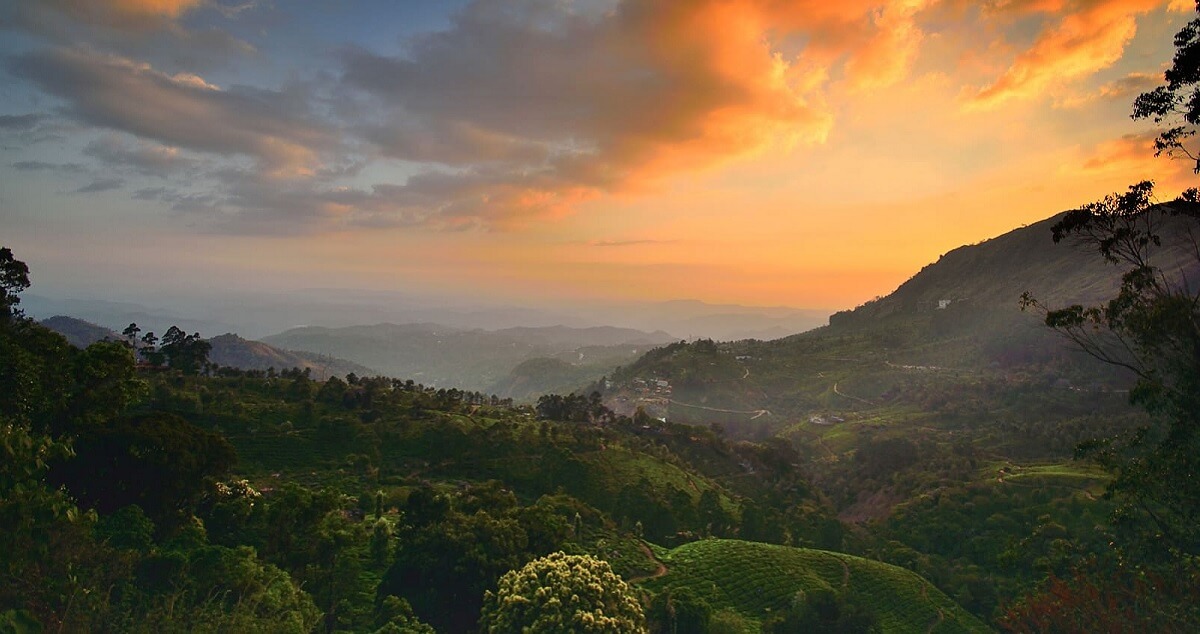 ¿Cuál es la mejor época para visitar Munnar?