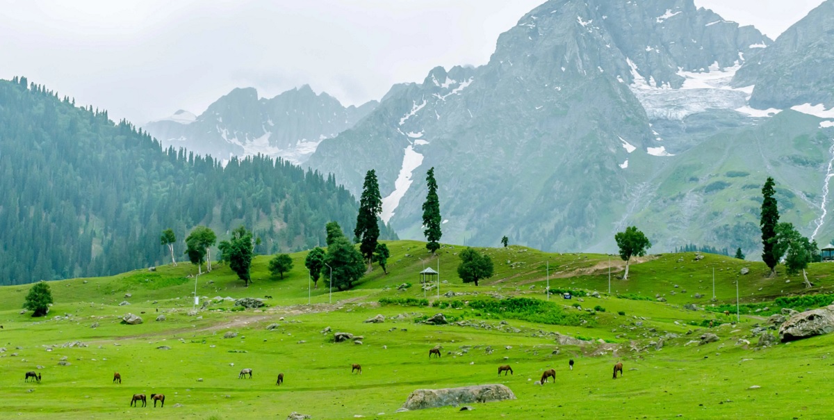 Excursión a Sonamarg – El valle dorado