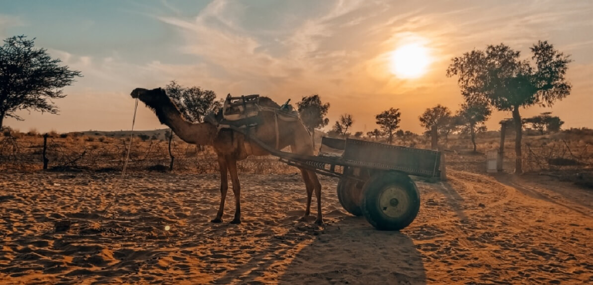 Qué esperar durante la visita