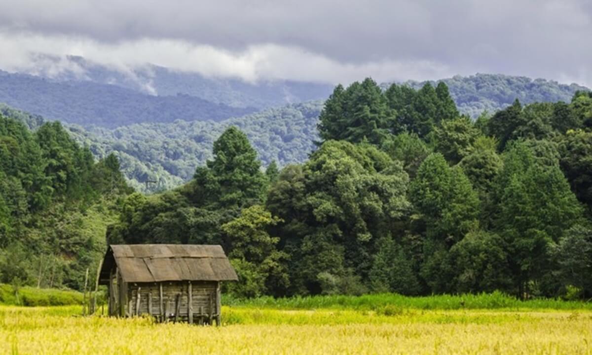 Temperaturas en India en abril por región
