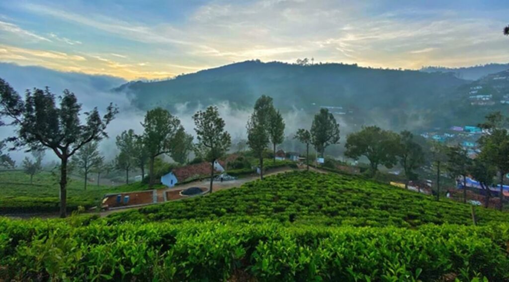 Clima en India en Junio: inicio del monzón, lluvias regionales y consejos para viajar seguro