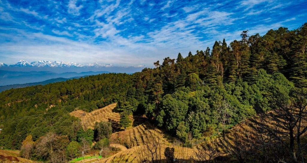 Clima en India en Noviembre: tiempo, mejores destinos y guía para viajar en 2026