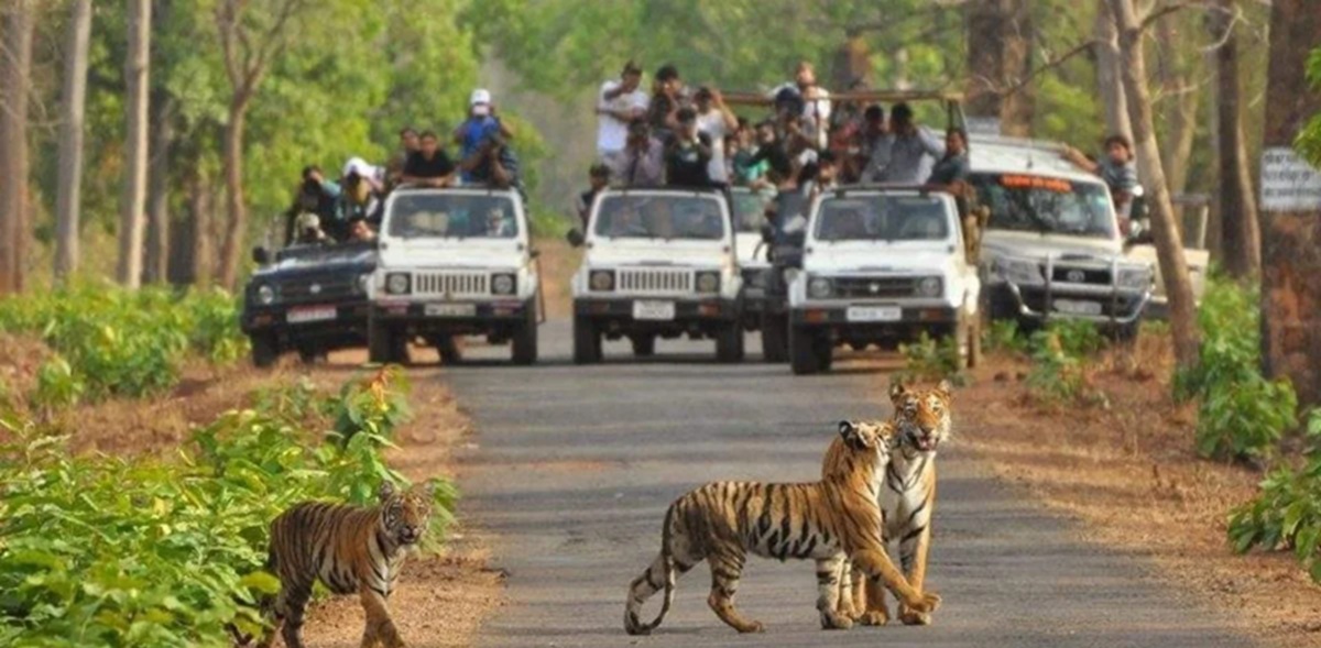 Itinerarios recomendados para visitar Kanha