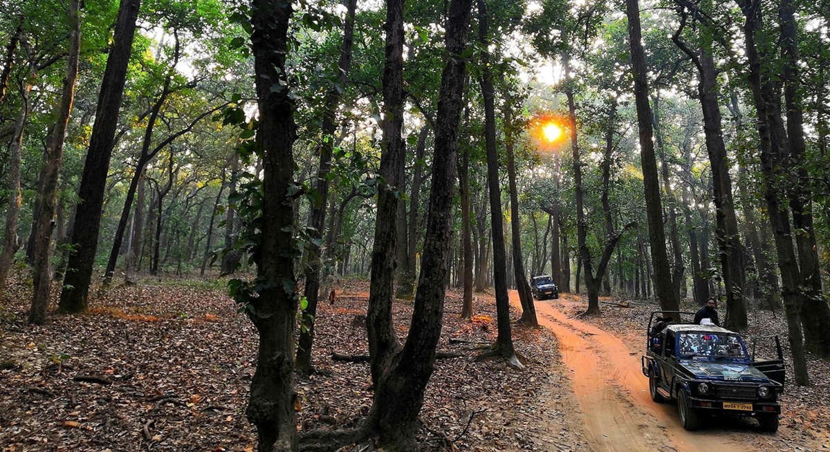 Zonas de Kanha: paisajes y áreas destacadas