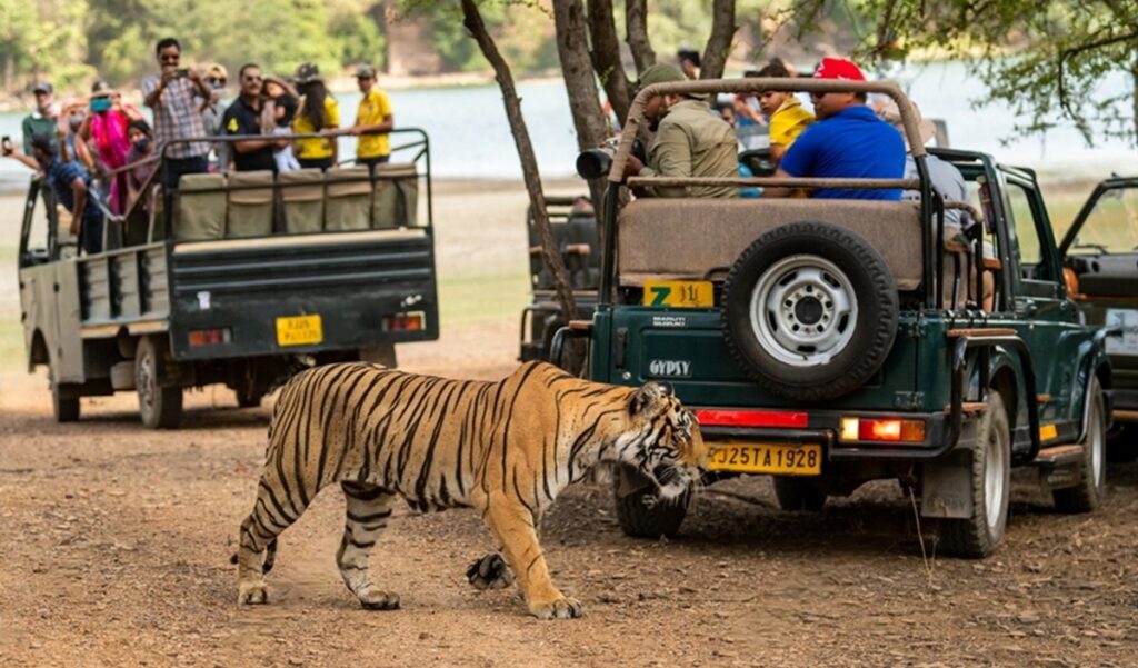 Parque Nacional Kanha: cómo visitarlo, qué ver y mejores safaris