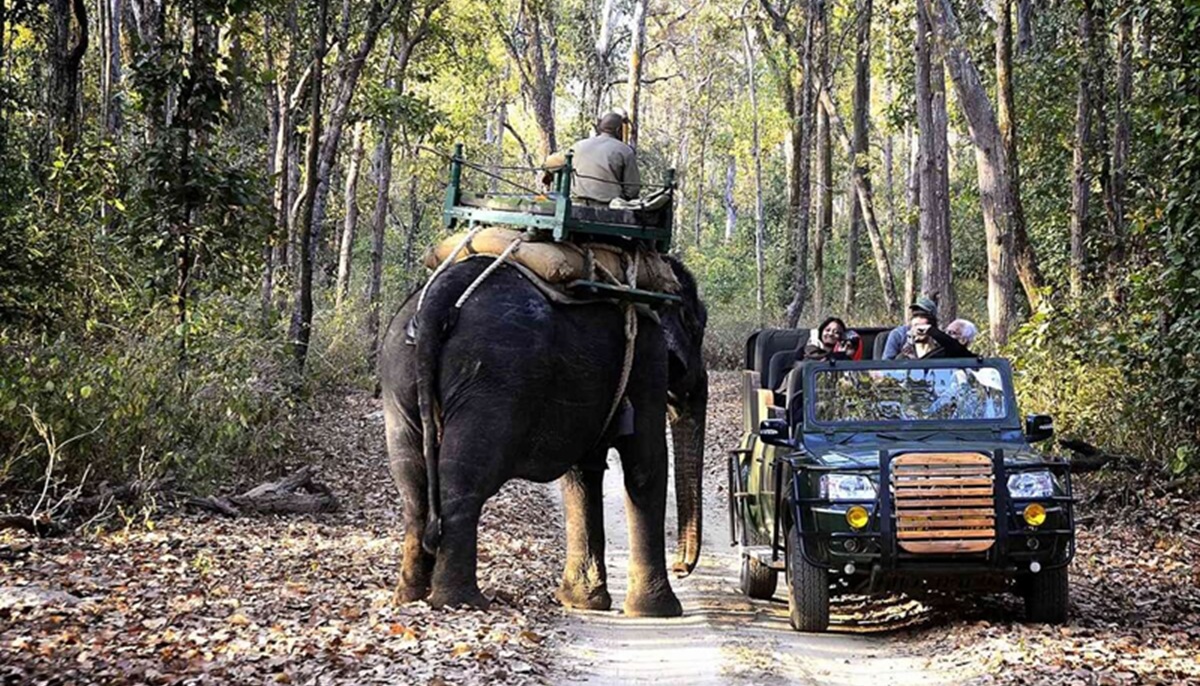 Cómo llegar al Parque Nacional Kanha: aeropuertos, trenes y carreteras