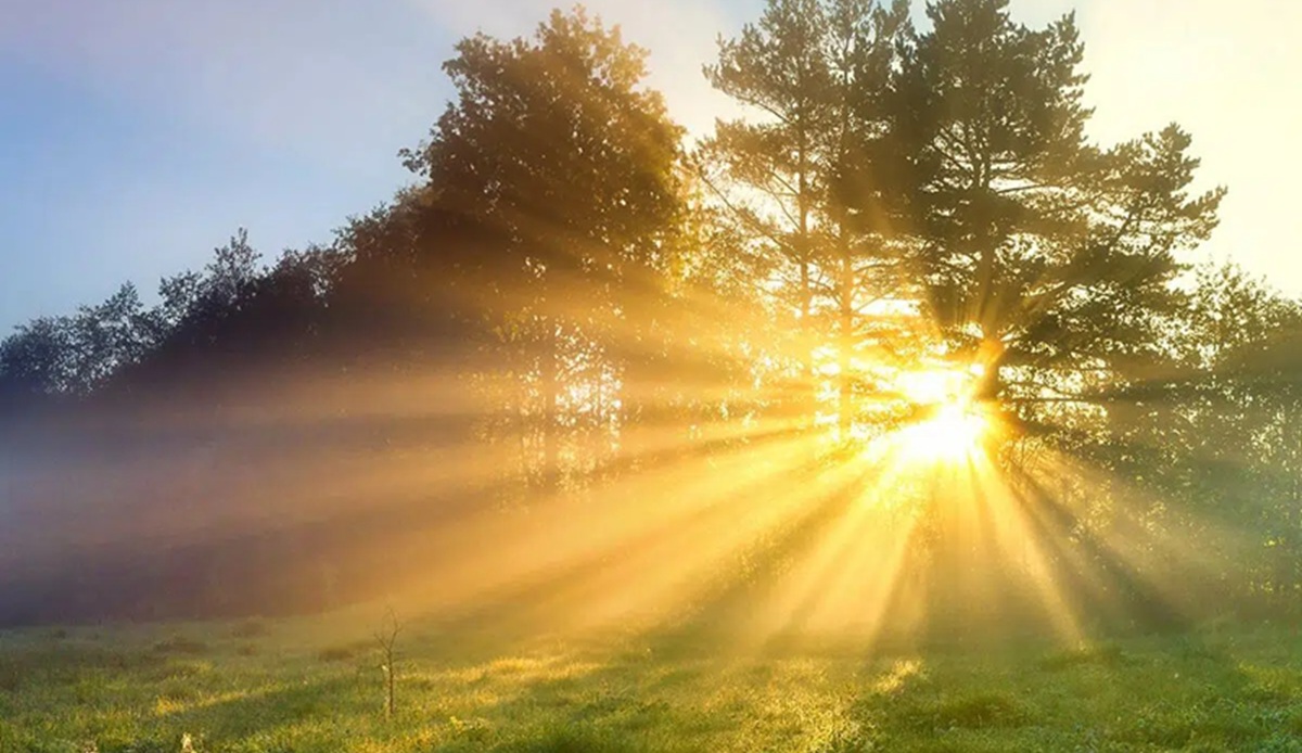 Prácticas para conectarse con Surya Dev