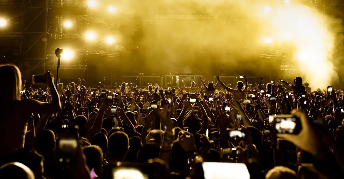 flavors, rhythms and colors