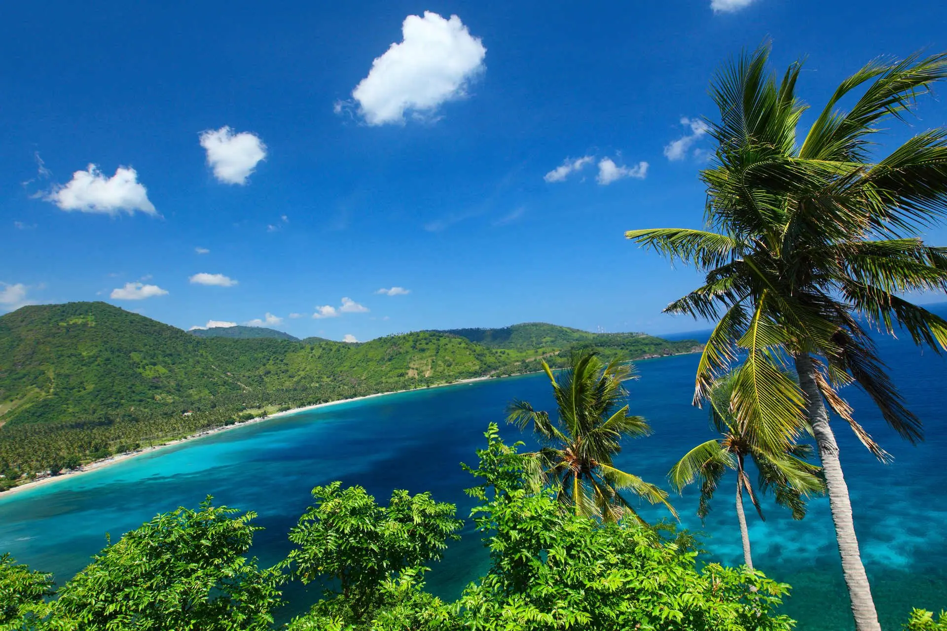 Haridwar Ganga Aarti